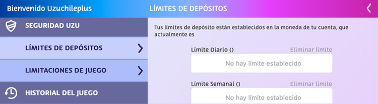 IMAGEN DEL AREA DE LIMITES DE DEPOSITO 